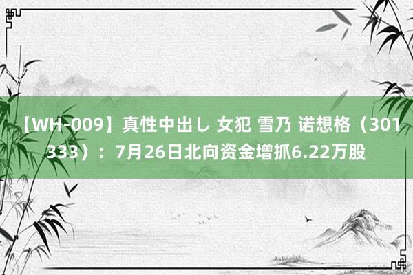 【WH-009】真性中出し 女犯 雪乃 诺想格（301333）：7月26日北向资金增抓6.22万股
