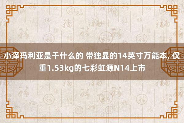小泽玛利亚是干什么的 带独显的14英寸万能本, 仅重1.53kg的七彩虹源N14上市