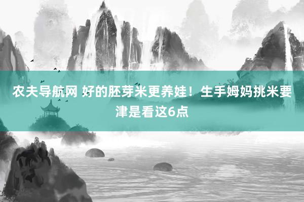 农夫导航网 好的胚芽米更养娃！生手姆妈挑米要津是看这6点