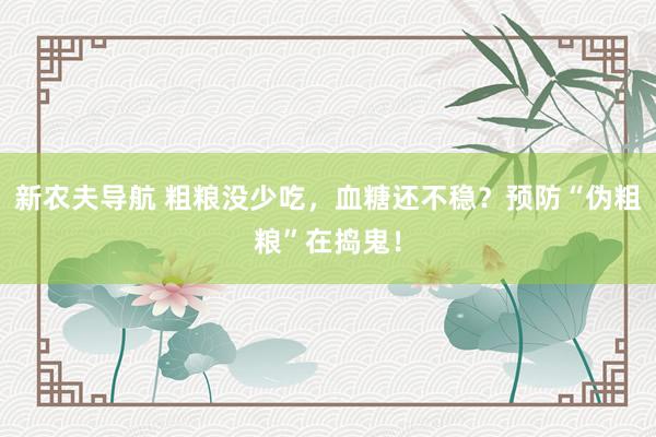 新农夫导航 粗粮没少吃，血糖还不稳？预防“伪粗粮”在捣鬼！
