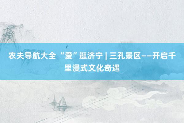 农夫导航大全 “爱”逛济宁 | 三孔景区——开启千里浸式文化奇遇