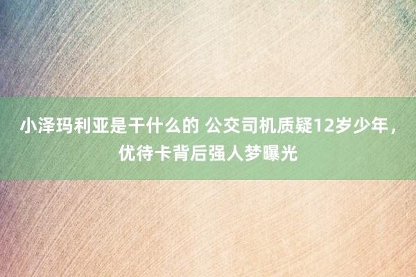 小泽玛利亚是干什么的 公交司机质疑12岁少年，优待卡背后强人梦曝光