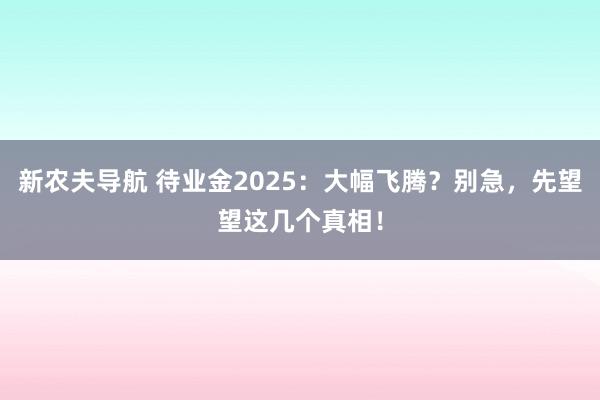 新农夫导航 待业金2025：大幅飞腾？别急，先望望这几个真相！