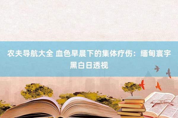 农夫导航大全 血色早晨下的集体疗伤：缅甸寰宇黑白日透视