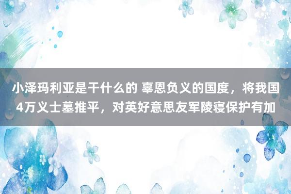 小泽玛利亚是干什么的 辜恩负义的国度，将我国4万义士墓推平，对英好意思友军陵寝保护有加