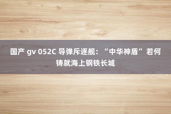 国产 gv 052C 导弹斥逐舰：“中华神盾” 若何铸就海上钢铁长城
