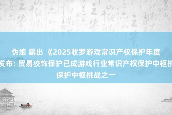 伪娘 露出 《2025收罗游戏常识产权保护年度陈诉》发布: 贸易狡饰保护已成游戏行业常识产权保护中枢挑战之一
