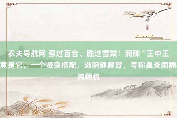 农夫导航网 强过百合、胜过雪梨！润肺“王中王”竟是它，一个贤良搭配，滋阴健脾胃，号称鼻炎闹翻机