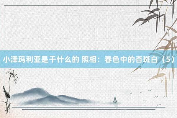小泽玛利亚是干什么的 照相：春色中的杏斑白（5）