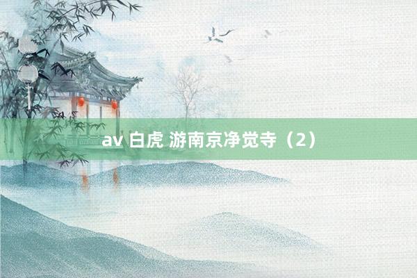 av 白虎 游南京净觉寺（2）