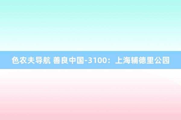 色农夫导航 善良中国-3100：上海辅德里公园