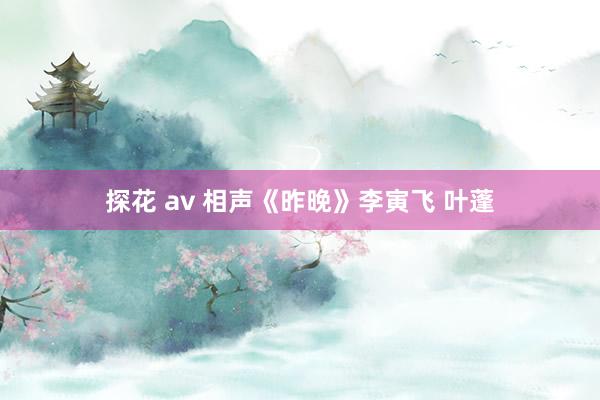 探花 av 相声《昨晚》李寅飞 叶蓬